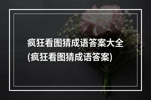 疯狂看图猜成语答案大全(疯狂看图猜成语答案)