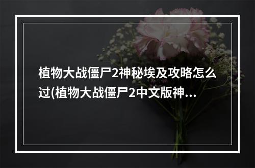 植物大战僵尸2神秘埃及攻略怎么过(植物大战僵尸2中文版神秘埃及最后攻略)