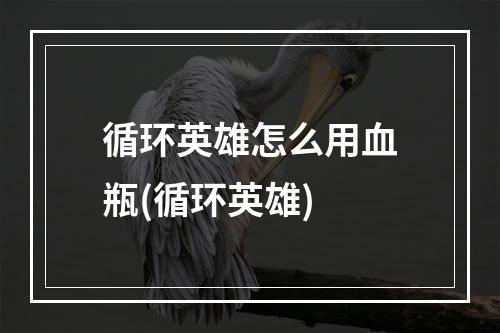 循环英雄怎么用血瓶(循环英雄)