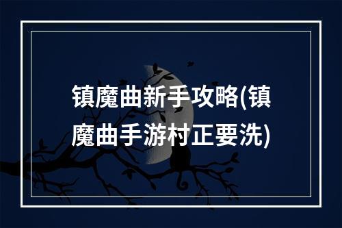 镇魔曲新手攻略(镇魔曲手游村正要洗)