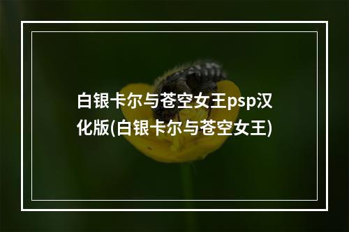 白银卡尔与苍空女王psp汉化版(白银卡尔与苍空女王)