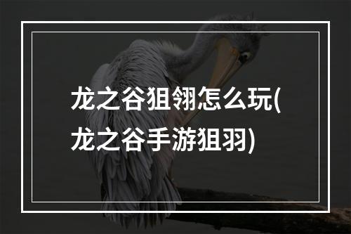 龙之谷狙翎怎么玩(龙之谷手游狙羽)