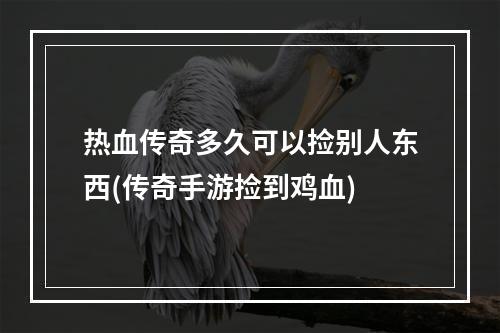 热血传奇多久可以捡别人东西(传奇手游捡到鸡血)