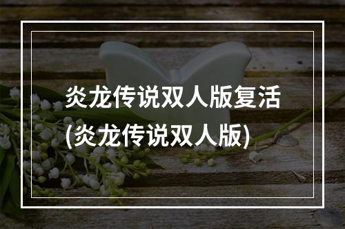 炎龙传说双人版复活(炎龙传说双人版)