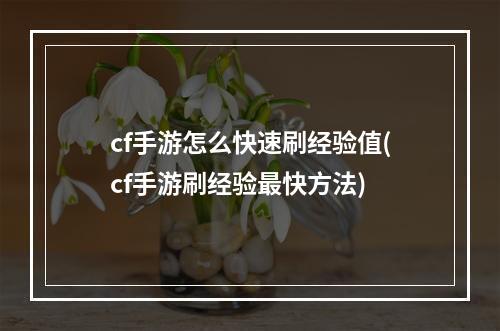 cf手游怎么快速刷经验值(cf手游刷经验最快方法)