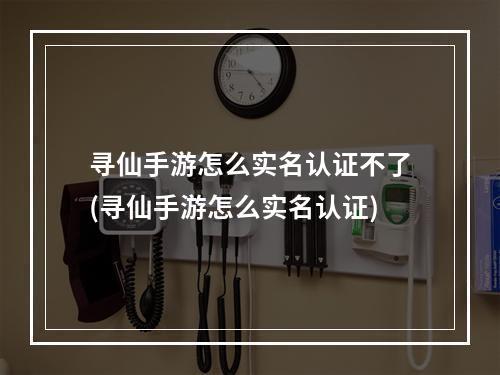 寻仙手游怎么实名认证不了(寻仙手游怎么实名认证)