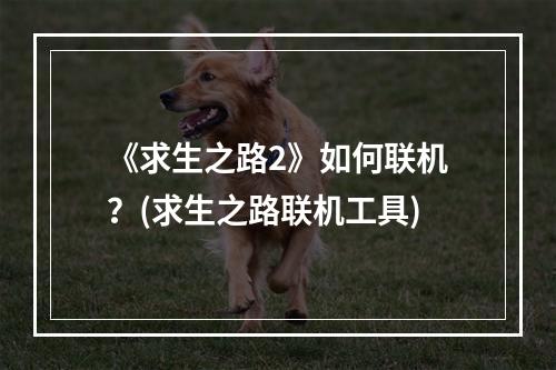 《求生之路2》如何联机？(求生之路联机工具)