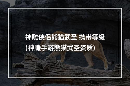 神雕侠侣熊猫武圣 携带等级(神雕手游熊猫武圣资质)