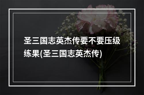 圣三国志英杰传要不要压级练果(圣三国志英杰传)