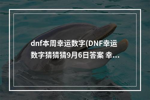 dnf本周幸运数字(DNF幸运数字猜猜猜9月6日答案 幸运数字查询 )