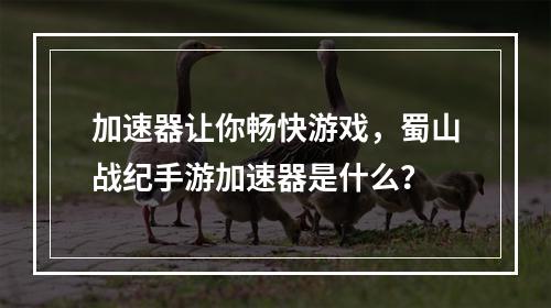 加速器让你畅快游戏，蜀山战纪手游加速器是什么？