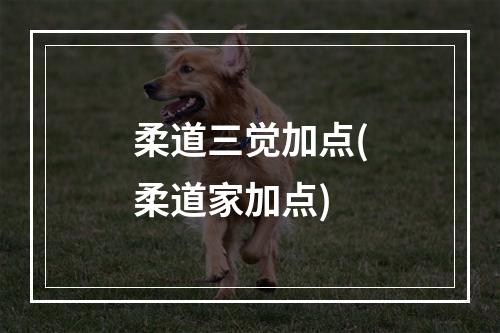 柔道三觉加点(柔道家加点)