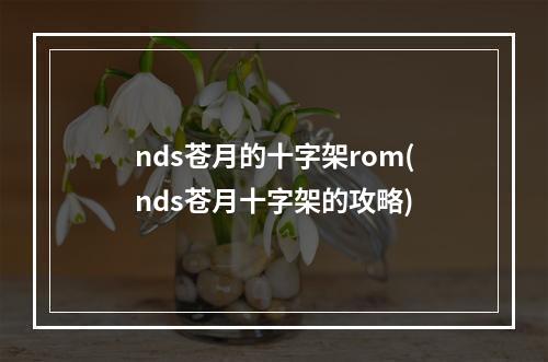 nds苍月的十字架rom(nds苍月十字架的攻略)