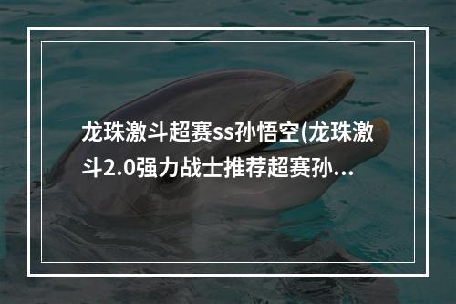 龙珠激斗超赛ss孙悟空(龙珠激斗2.0强力战士推荐超赛孙悟空不可少)