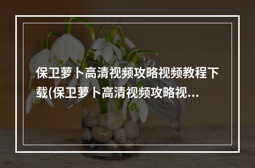 保卫萝卜高清视频攻略视频教程下载(保卫萝卜高清视频攻略视频教程)