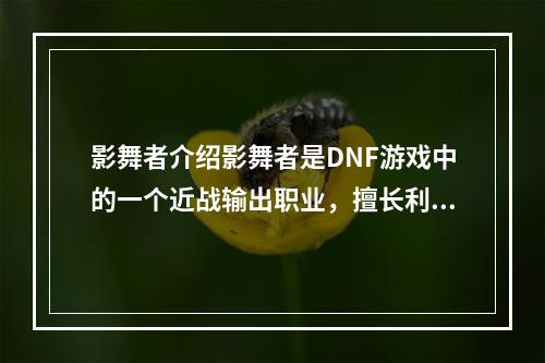 影舞者介绍影舞者是DNF游戏中的一个近战输出职业，擅长利用双枪和双峰扇进行连招输出，其特点是招式连绵不断，极具视觉冲击力。