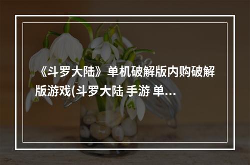 《斗罗大陆》单机破解版内购破解版游戏(斗罗大陆 手游 单机破解版)