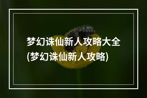 梦幻诛仙新人攻略大全(梦幻诛仙新人攻略)