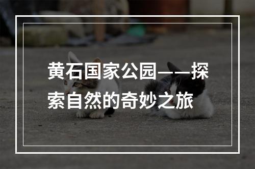 黄石国家公园——探索自然的奇妙之旅