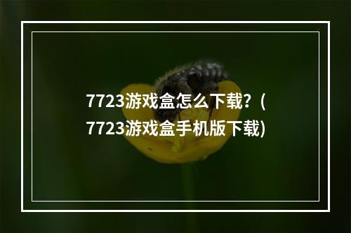 7723游戏盒怎么下载？(7723游戏盒手机版下载)