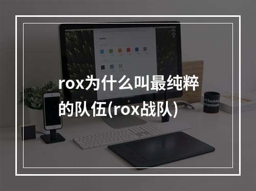 rox为什么叫最纯粹的队伍(rox战队)