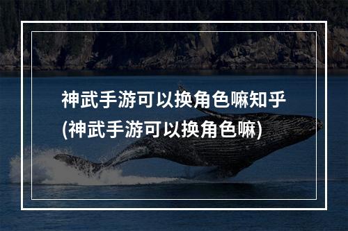 神武手游可以换角色嘛知乎(神武手游可以换角色嘛)