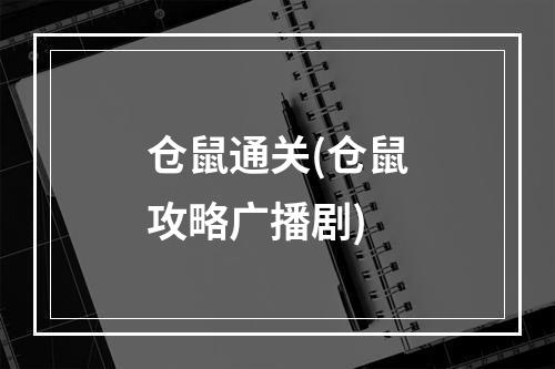 仓鼠通关(仓鼠攻略广播剧)