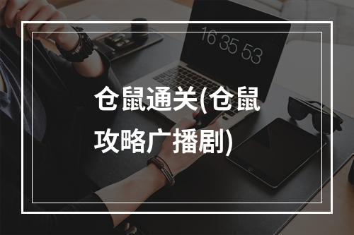 仓鼠通关(仓鼠攻略广播剧)