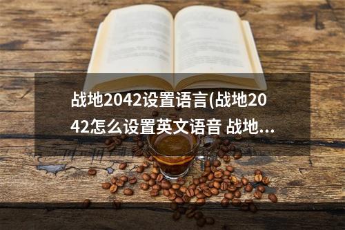 战地2042设置语言(战地2042怎么设置英文语音 战地2042英文语音简单设置)