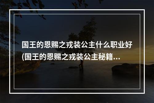 国王的恩赐之戎装公主什么职业好(国王的恩赐之戎装公主秘籍 一代巾帼公主)