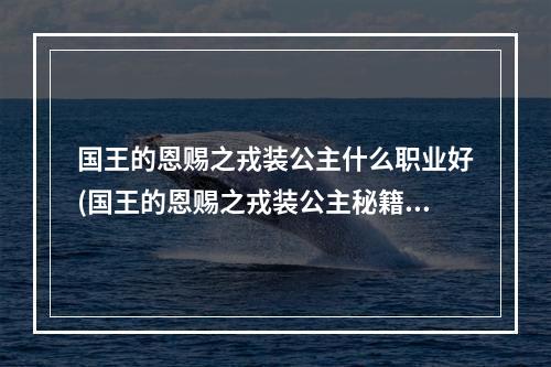 国王的恩赐之戎装公主什么职业好(国王的恩赐之戎装公主秘籍 一代巾帼公主)