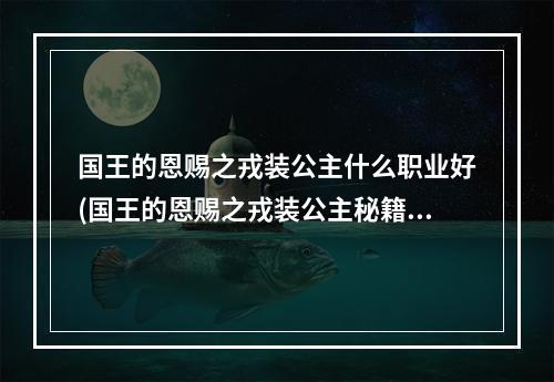 国王的恩赐之戎装公主什么职业好(国王的恩赐之戎装公主秘籍 一代巾帼公主)