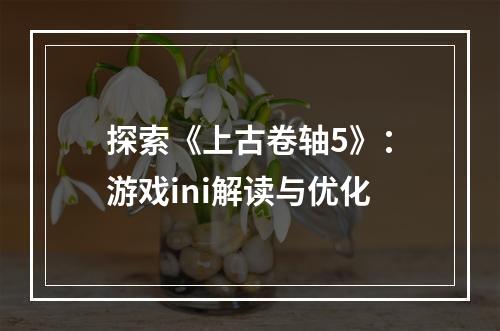 探索《上古卷轴5》：游戏ini解读与优化