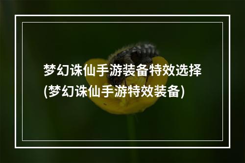 梦幻诛仙手游装备特效选择(梦幻诛仙手游特效装备)