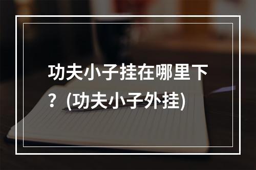 功夫小子挂在哪里下？(功夫小子外挂)