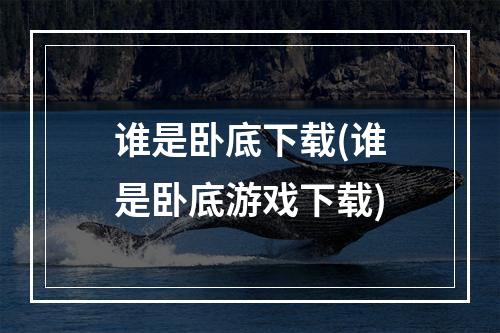 谁是卧底下载(谁是卧底游戏下载)