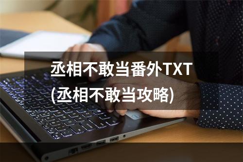 丞相不敢当番外TXT(丞相不敢当攻略)