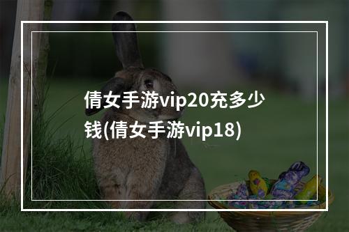 倩女手游vip20充多少钱(倩女手游vip18)