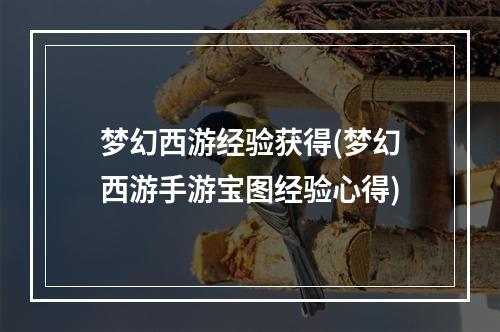 梦幻西游经验获得(梦幻西游手游宝图经验心得)