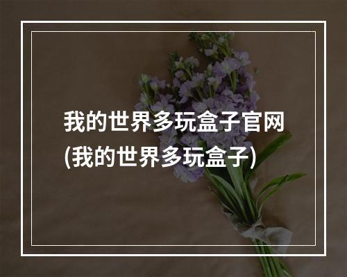 我的世界多玩盒子官网(我的世界多玩盒子)