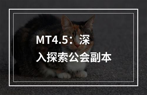 MT4.5：深入探索公会副本