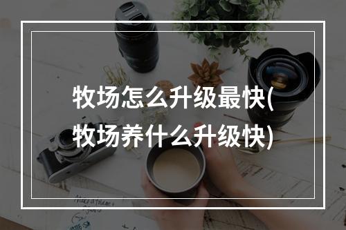 牧场怎么升级最快(牧场养什么升级快)