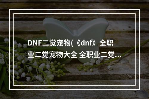 DNF二觉宠物(《dnf》全职业二觉宠物大全 全职业二觉宠物有哪些  )