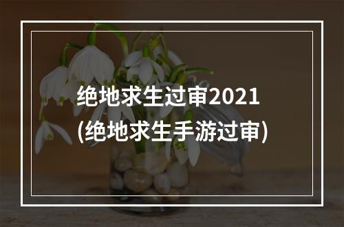 绝地求生过审2021(绝地求生手游过审)