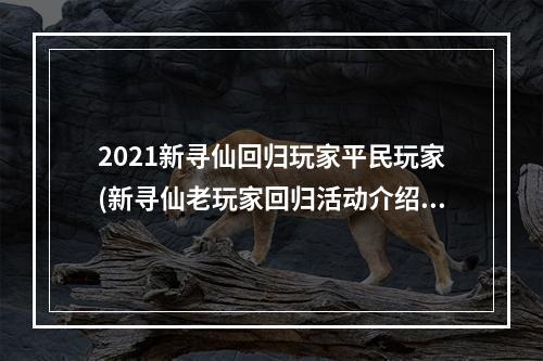 2021新寻仙回归玩家平民玩家(新寻仙老玩家回归活动介绍 新寻仙老玩家回归活动奖励)