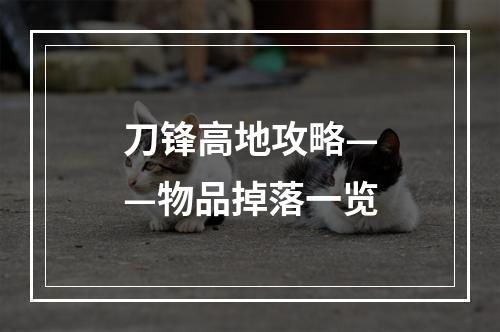 刀锋高地攻略——物品掉落一览