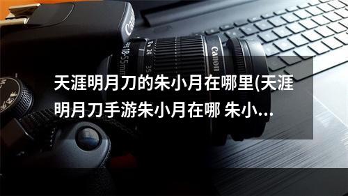 天涯明月刀的朱小月在哪里(天涯明月刀手游朱小月在哪 朱小月位置一览 天涯明月刀)