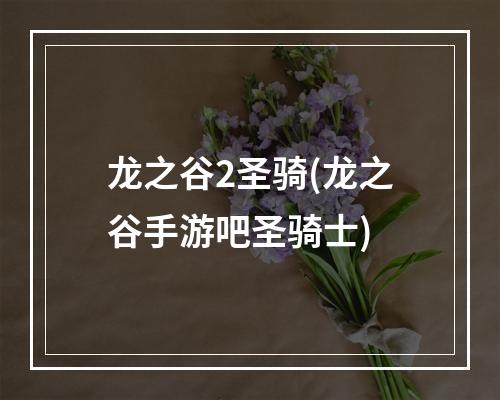 龙之谷2圣骑(龙之谷手游吧圣骑士)