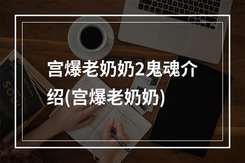 宫爆老奶奶2鬼魂介绍(宫爆老奶奶)