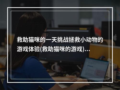 救助猫咪的一天挑战拯救小动物的游戏体验(救助猫咪的游戏)(小猫咪的营救计划用智慧和技能拯救无辜生命(营救小猫咪的游戏))